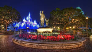 Walt Disney World Statue At Night Wallpaper