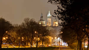 Wawel Castle Night Trees Wallpaper