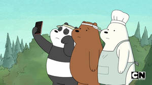 We Bare Bears Sad Selfie Wallpaper