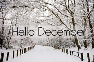 “welcome December, A Time Of Joy And Celebration!” Wallpaper