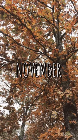 Welcome November With The New Iphone Wallpaper