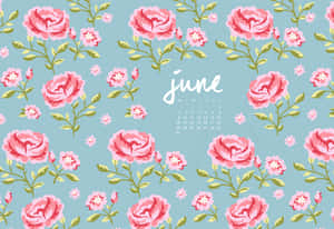 Welcome The Sunshine Of June! Wallpaper