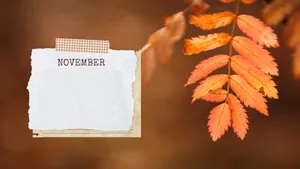 Welcome To Aesthetic November! Wallpaper