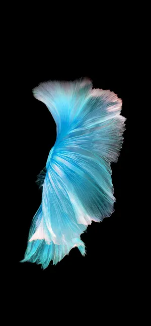 Welcome To The Big Apple! Wallpaper