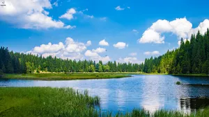 Welcome To The World Of Windows 1 Wallpaper