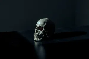 White And Black Skull Figurine On Black Surface Wallpaper