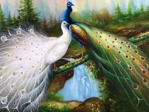 White And Blue-green Peacock Painting Wallpaper