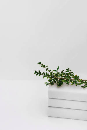 White Blocks And Branch Green And White Aesthetic Wallpaper