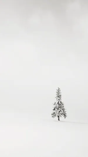 White Christmas Tree Iphone Wallpaper