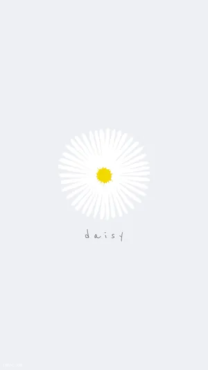 White Daisy Flower Iphone Art Wallpaper