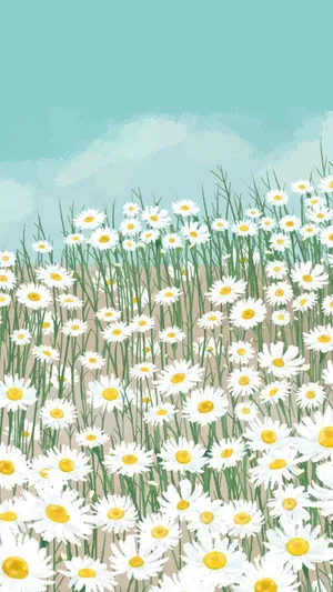 White Daisy Garden Wallpaper