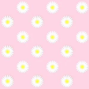 White Daisy Patterned In Pastel Pink Wallpaper