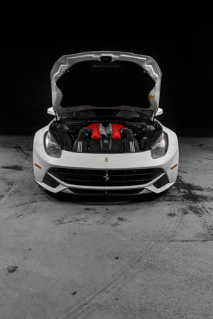 White Ferrari Vehicle Park Wallpaper