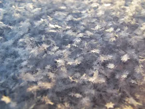 White Flowers Wallpaper