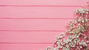 White Flowers Google Meet Virtual Background Wallpaper