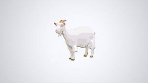 White Goat Digital Art Wallpaper