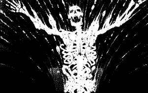 White Paint Skeleton Wallpaper