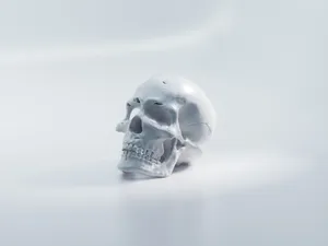 White Scary Skull Wallpaper