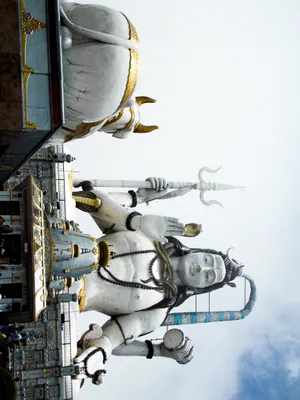 White Shiva Statute Wallpaper