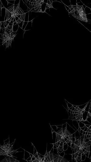 White Spider Webs Gothic Iphone Wallpaper