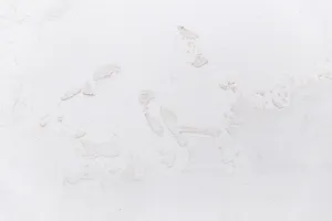 White Stucco Concrete Texture Wallpaper