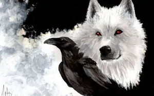 White Wolf Wallpaper