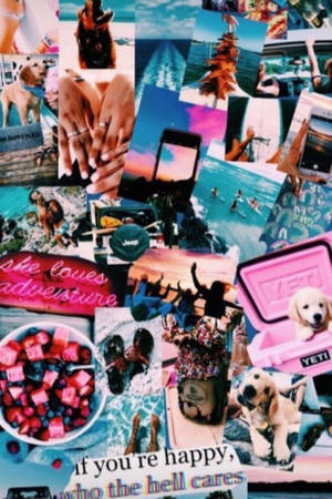 Who The Hell Cares Aesthetic Vsco Collage Wallpaper