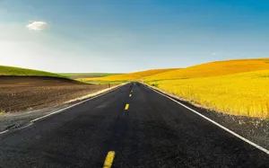 Wide Street With Yellow Flowers Wallpaper