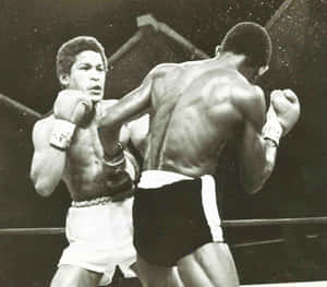 Wilfred Benítez Punch Colombian Antonio Cervantes Wallpaper