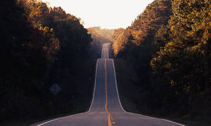 Winding Pathways Ahead Wallpaper