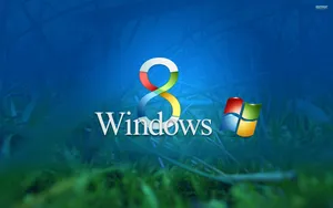 Windows 8 Grassy And Blue Background Wallpaper