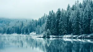Winter Aesthetic Lake Wallpaper