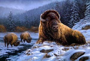 Winter_ Bison_ Herd_ Snowfall Wallpaper