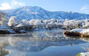 Winter Bridge Landscape Wallpaper
