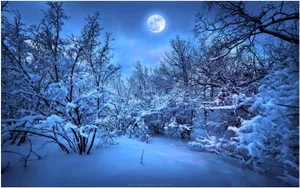 Winter Night Desktop With A Full Moon Wallpaper