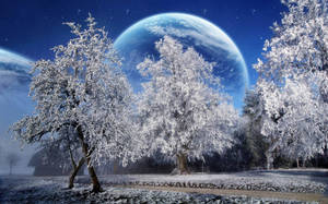 Winter Scene Fantasy Wallpaper
