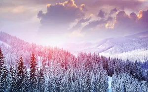 Winter Scene Purple Hue Wallpaper