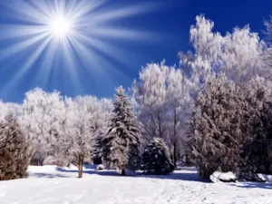 Winter Scene Shining Wallpaper