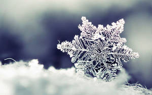 Winter Wonderland - Enjoy The Beauty Of A Snowflake Wallpaper