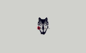 Wolf And Red Bunga Wallpaper