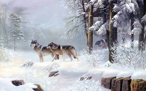 Wolf In Winter Forest Desktop Wallpaper