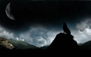 Wolf Moon On A Hill Ledge Wallpaper