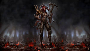 Woman Demon Slayer Diablo Wallpaper