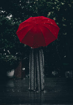 Woman Holding Red Umbrella Standing Near Tree At Daytime Wallpaper