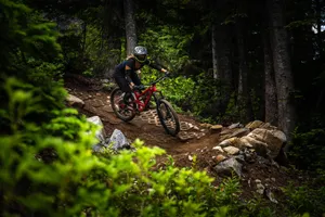 Woman On A 4k Mountain Bike Steep Trail Wallpaper