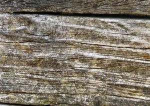 Wood Material Desktop Wallpaper