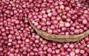 Wooden Basket Overflowing With Red Onions Wallpaper