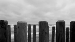 Wooden Fence In Grey Desktop Wallpaper