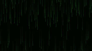 Working On Code Amidst A Blue And Purple Background Wallpaper