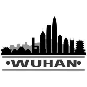 Wuhan Black And White Art Wallpaper